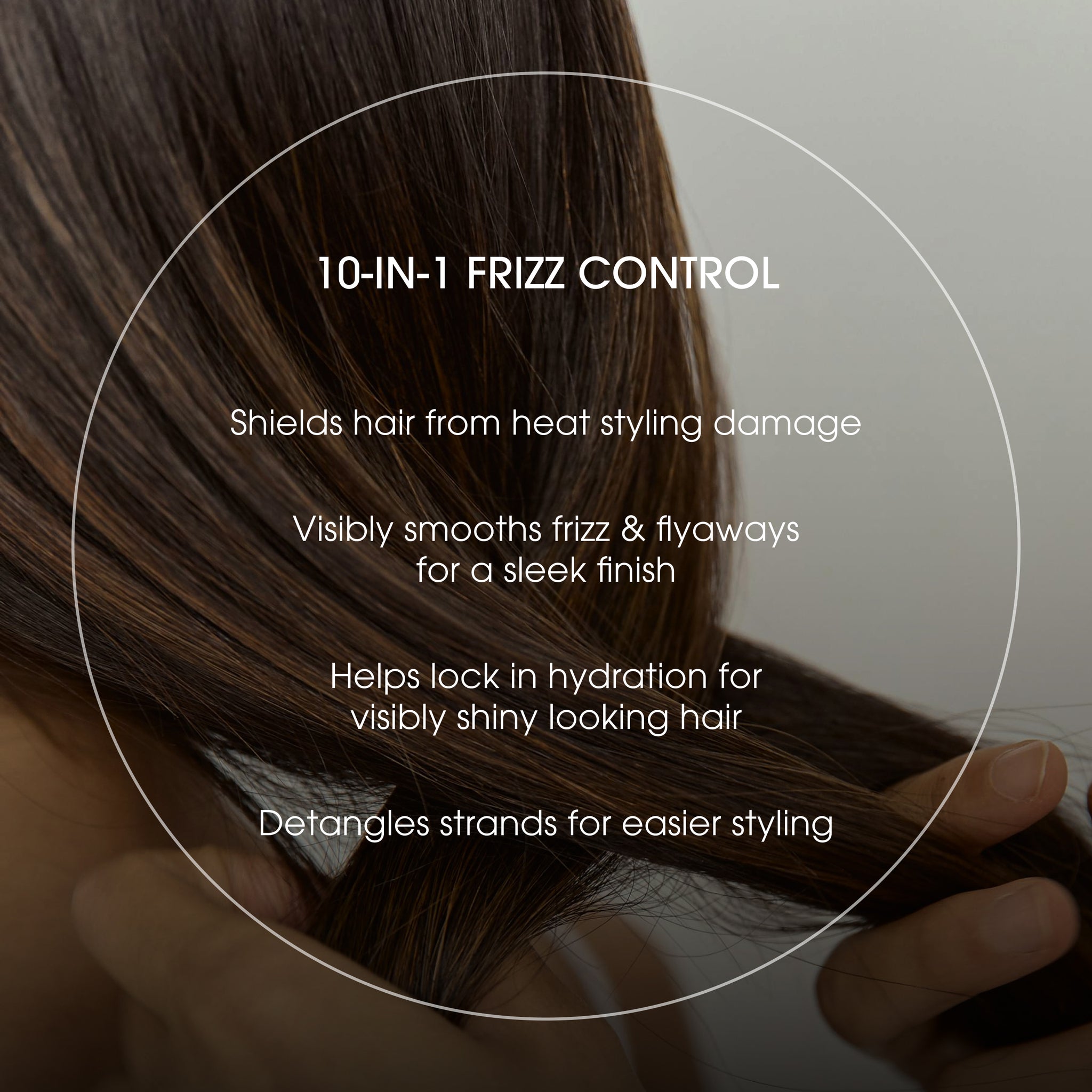 10-in-1 Frizz Control Heat Protectant
