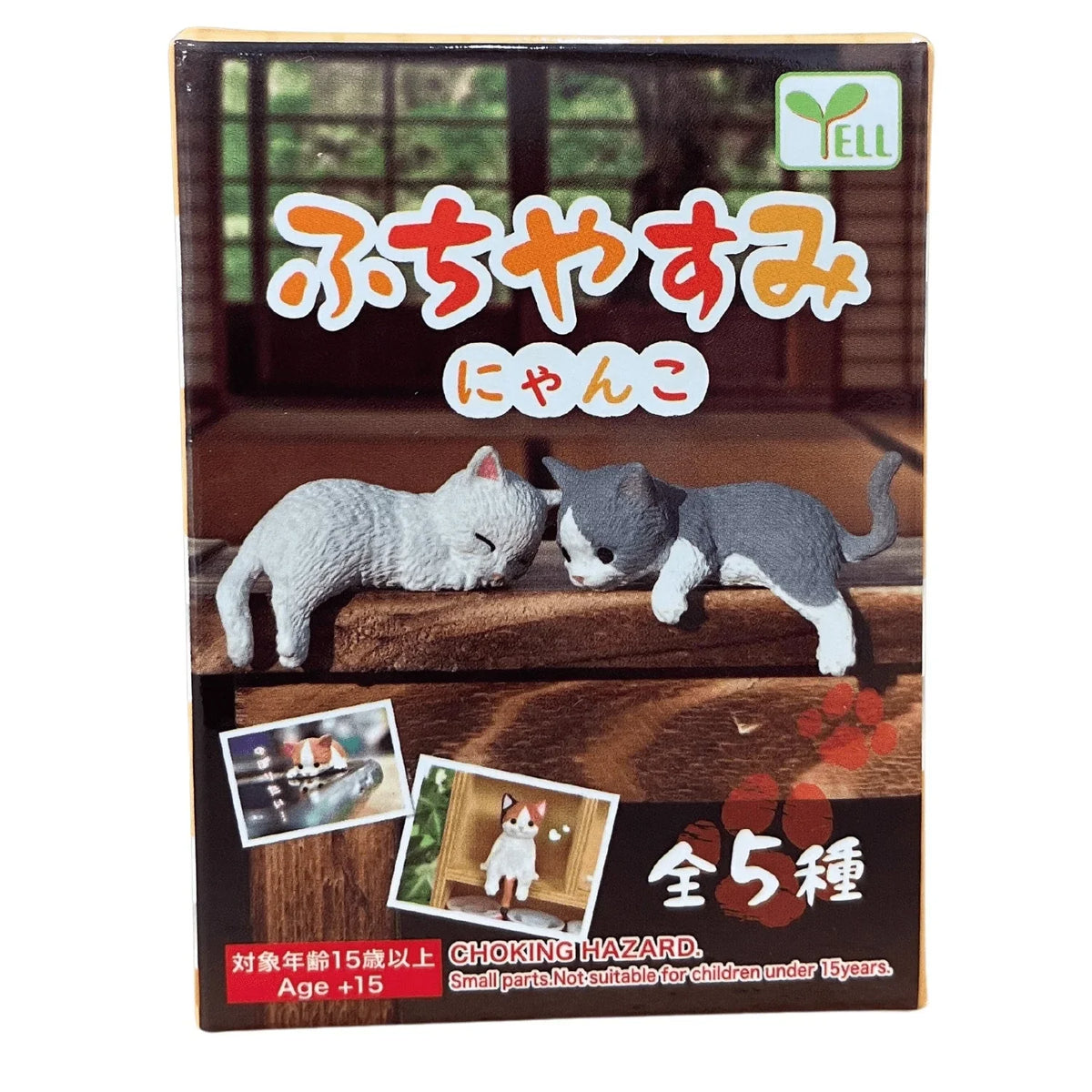 RESTING CAT BLIND BOX