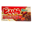 SB Torokeru Tasty Curry Mild 10servings 7oz/200g - GOHAN Market