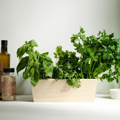 Indoor Herb Planter