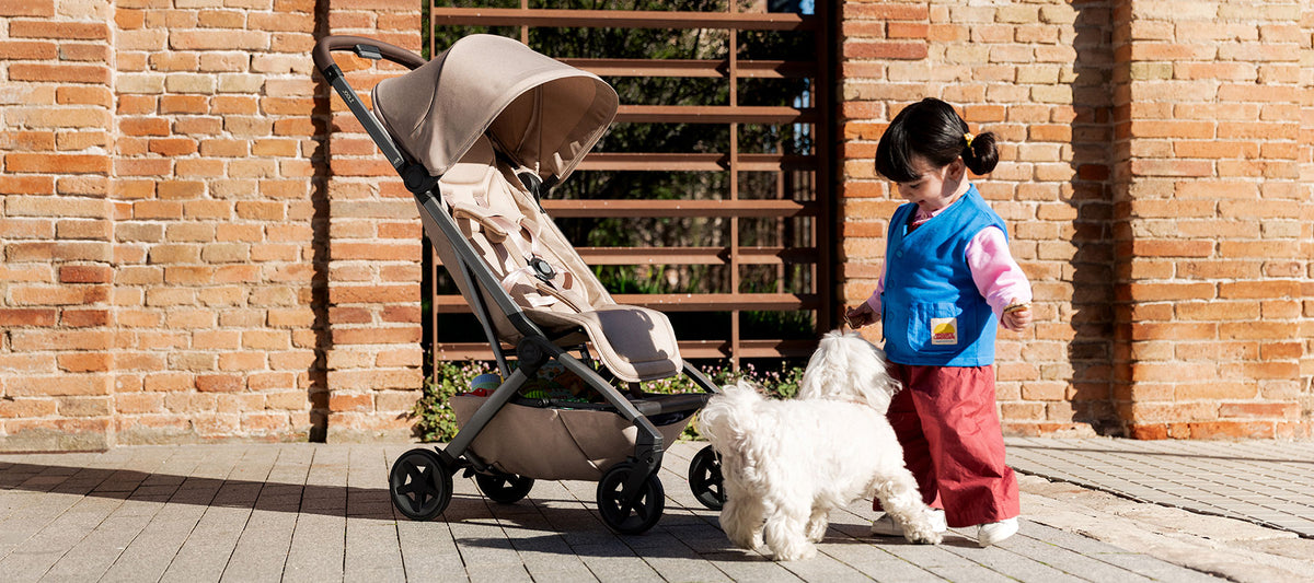 Joolz Aer2 Buggy