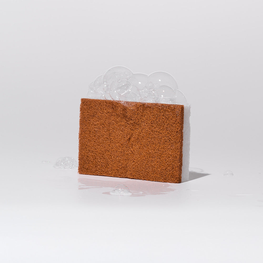 Scrubber Sponges (12 ct)