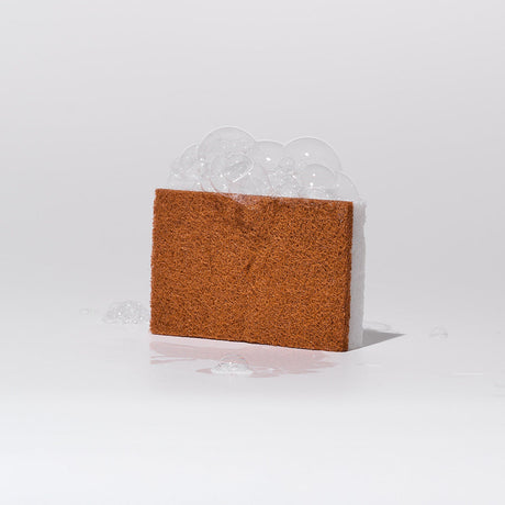 Scrubber Sponges (12 ct)