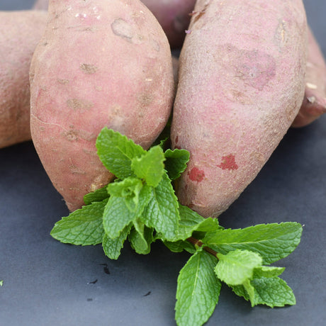 Satsumaimo (Japanese Sweet Potato) | From Our Suppliers | 1.5 lb